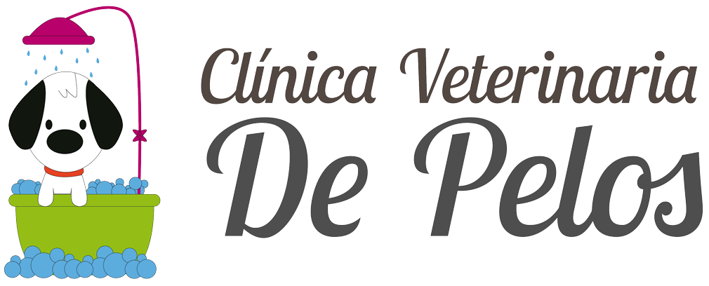 Clínica Veterinaria De Pelos