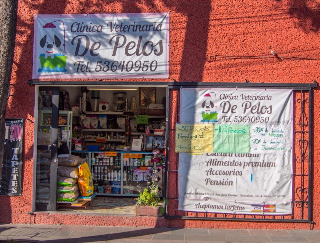 Veterinaria De Pelos – San Juán Totoltepec